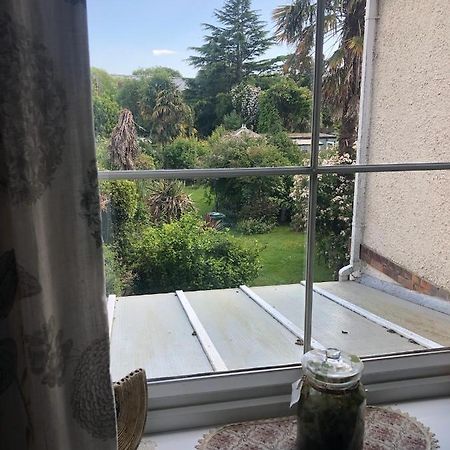 Old Orchard House Bed & Breakfast Lavant Екстериор снимка